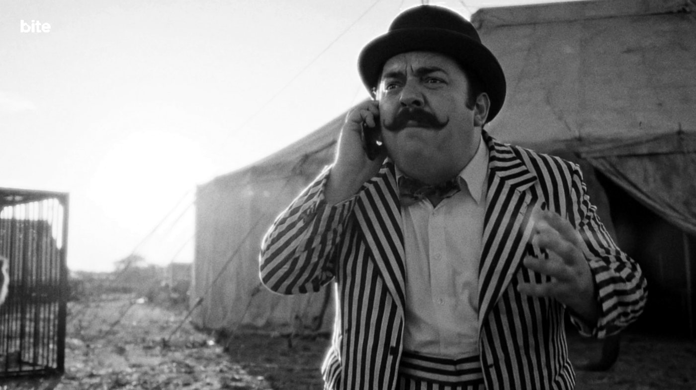 Mustached man in a striped suit on the phone at golden hour